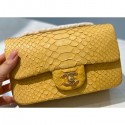 Chanel Python Classic Flap Small Bag A1116 11 CE02228