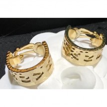 Hot Chanel Earrings 166 2020 CE02420