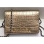 Chanel Crocodile Embossed Calfskin Gabrielle Wallet On Chain WOC Bag Metallic Gold 2019 CE04192